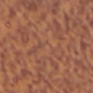 Finespec - Image 9